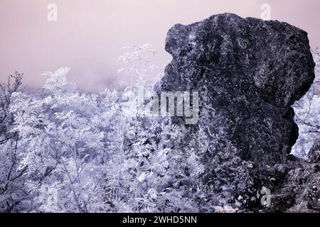 Europa, Deutschland, Hessen, Mittelhessen, Naturpark Lahn-Dill-Bergland, Naturschutzgebiet Wichtelhäuser bei Lahntal, Felsvorsprung oberhalb des Lahntals Stockfoto