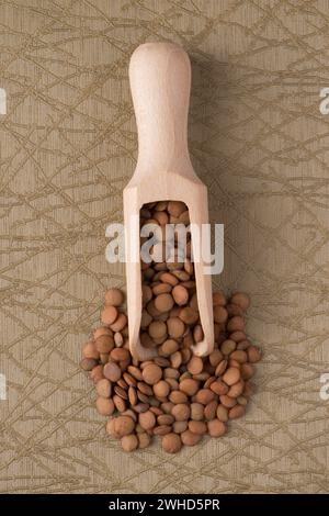 Holzlöffel mit Linsen Stockfoto