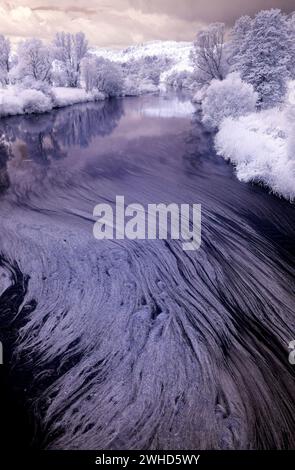 Europa, Deutschland, Hessen, Zentralhessen, Naturpark Kellerwald-Edersee, Hochwasser-Butterblume in der Flusszone der Eder Stockfoto