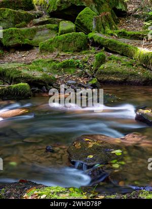 Der Verlauf der Thulba im Kerngebiet des Biosphärenreservats Rhön zwischen Oberthulba und Thulba, Kreis Bad Kissingen, Unterfranken, Franken, Bayern, Deutschland Stockfoto