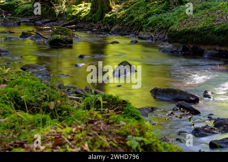 Der Verlauf der Thulba im Kerngebiet des Biosphärenreservats Rhön zwischen Oberthulba und Thulba, Kreis Bad Kissingen, Unterfranken, Franken, Bayern, Deutschland Stockfoto