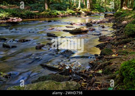 Der Verlauf der Thulba im Kerngebiet des Biosphärenreservats Rhön zwischen Oberthulba und Thulba, Kreis Bad Kissingen, Unterfranken, Franken, Bayern, Deutschland Stockfoto