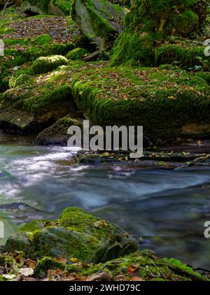 Der Verlauf der Thulba im Kerngebiet des Biosphärenreservats Rhön zwischen Oberthulba und Thulba, Kreis Bad Kissingen, Unterfranken, Franken, Bayern, Deutschland Stockfoto