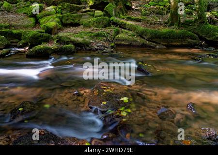 Der Verlauf der Thulba im Kerngebiet des Biosphärenreservats Rhön zwischen Oberthulba und Thulba, Kreis Bad Kissingen, Unterfranken, Franken, Bayern, Deutschland Stockfoto