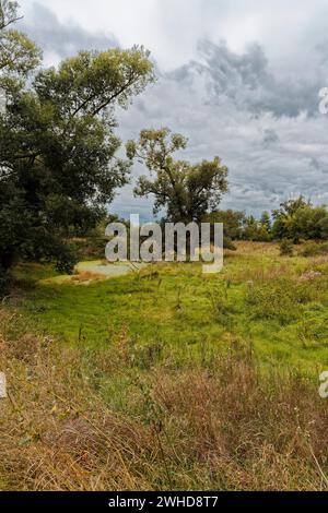 Aue der Weißen Elster zwischen Bornitz bei Zeitz und Göbitz im Burgenlandkreis Sachsen-Anhalt Stockfoto