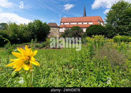 Pfarrkirche St. Johannes Baptista in der Weinstadt Hammelburg, Landkreis Bad Kissingen, Unterfranken, Franken, Bayern, Deutschland Stockfoto