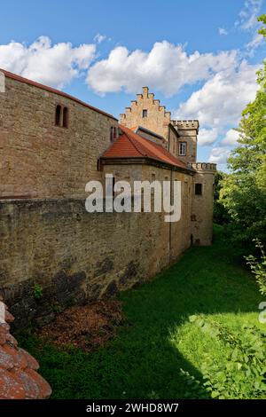 Schloss Saaleck bei der Weinstadt Hammelburg, Landkreis Bad Kissingen, Unterfranken, Franken, Bayern, Deutschland Stockfoto