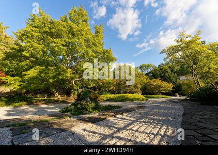 Der Japanische Garten im Schlosspark Moritzburg in Zeitz, Burgenlandkreis, Sachsen-Anhalt, Deutschland Stockfoto