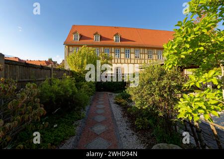 Der Japanische Garten im Schlosspark Moritzburg in Zeitz, Burgenlandkreis, Sachsen-Anhalt, Deutschland Stockfoto