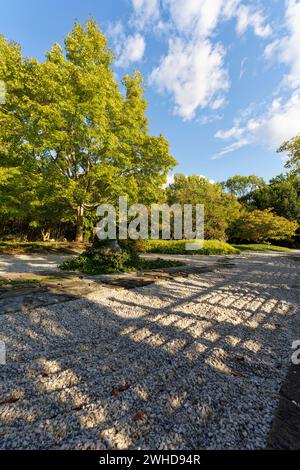 Der Japanische Garten im Schlosspark Moritzburg in Zeitz, Burgenlandkreis, Sachsen-Anhalt, Deutschland Stockfoto