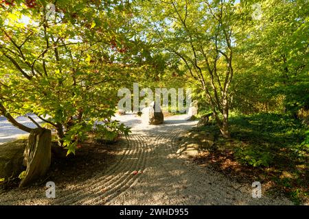 Der Japanische Garten im Schlosspark Moritzburg in Zeitz, Burgenlandkreis, Sachsen-Anhalt, Deutschland Stockfoto