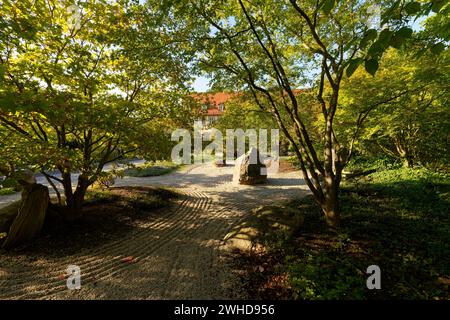 Der Japanische Garten im Schlosspark Moritzburg in Zeitz, Burgenlandkreis, Sachsen-Anhalt, Deutschland Stockfoto