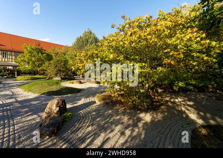 Der Japanische Garten im Schlosspark Moritzburg in Zeitz, Burgenlandkreis, Sachsen-Anhalt, Deutschland Stockfoto