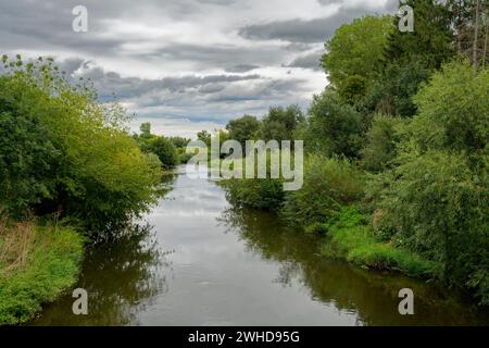 Aue der Weißen Elster zwischen Bornitz bei Zeitz und Göbitz im Burgenlandkreis Sachsen-Anhalt Stockfoto