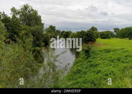 Aue der Weißen Elster zwischen Bornitz bei Zeitz und Göbitz im Burgenlandkreis Sachsen-Anhalt Stockfoto