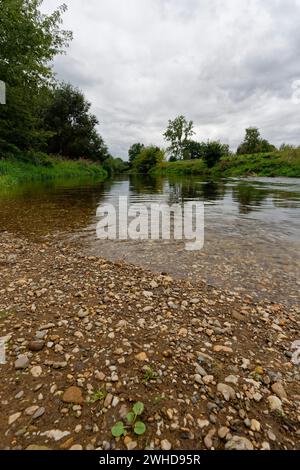 Aue der Weißen Elster zwischen Bornitz bei Zeitz und Göbitz im Burgenlandkreis Sachsen-Anhalt Stockfoto