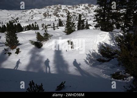 29.12.2023, Krippenbrunn, Oberoesterreich, AUT - Schatten von Skitourengehern auf dem Krippenstein. Amateursportler, Aussen, Aussenaufnahme, Bergsteigen, Bergwandern, Doppelseite, einsam, Einsamkeit, Europa, europaeisch, Freizeit, Freizeitsportler, gehen, Gesellschaft, Jahreszeit, KAELTE, kalt, Krippenbrunn, Krippenstein, laufen, Menschen, Oberoesterreich, Oesterreich, oesterreichisch, Personen, QF, Querformat, Schatten, Schattenrisse, Schattenwurf, Schnee, schneebedeckt, Skibergsteigen, Skibergsteiger, Skimo, Skibergsteigen, Skisport, Skitourengehen, Skitourengeher, Skiurlaub, Sportler, Ti Stockfoto