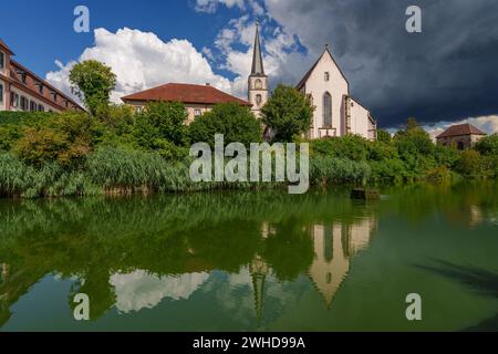 Pfarrkirche St. Johannes Baptista in der Weinstadt Hammelburg, Landkreis Bad Kissingen, Unterfranken, Franken, Bayern, Deutschland Stockfoto