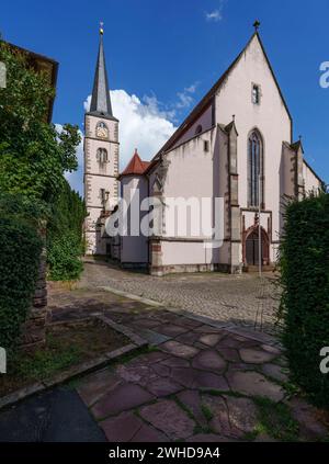 Pfarrkirche St. Johannes Baptista in der Weinstadt Hammelburg, Landkreis Bad Kissingen, Unterfranken, Franken, Bayern, Deutschland Stockfoto