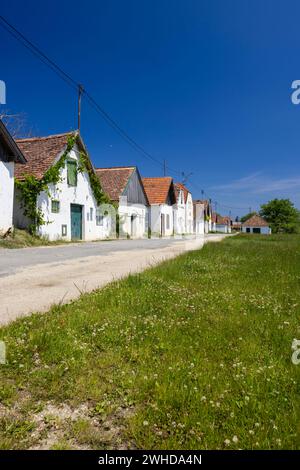 Traditionelle Kellerstraße in Diepolz bei Mailberg, Niederösterreich, Österreich Stockfoto