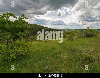 Naturschutzgebiet Höhfeldplatte bei Thüngersheim, Landkreis Main-Spessart, Niederfranken, Bayern, Deutschland Stockfoto