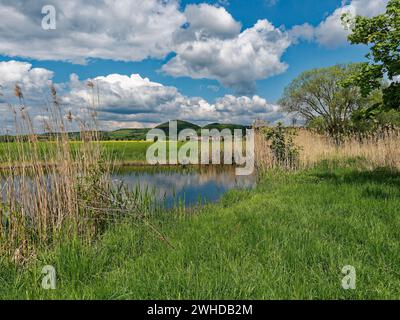 Der Lautensee im Naturschutzgebiet Mainaue bei Augsfeld, Stadt Hassfurt, Landkreis Hassberge, Unterfranken, Franken, Bayern, Deutschland Stockfoto