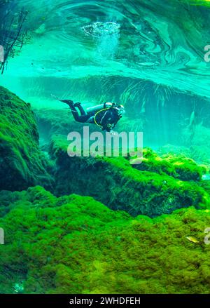 Taucher schwimmen durch die Außenseite einer Cenote in Mexiko Stockfoto