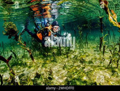 Taucher schwimmt mit einer Unterwasserkamera in einem Flusszufluss Stockfoto