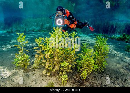 Taucher schwimmen mit Fotoausrüstung durch einen Quellsee in Italien. Stockfoto