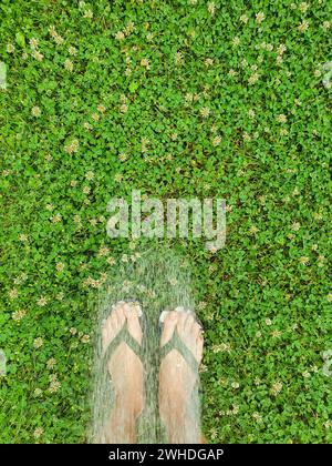 Damenfüße barfuß draußen in der Natur, Wasserstrahl kühlt Füße in Flipflops, grüner Rasen mit Schamrock, Deutschland Stockfoto