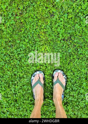 Damenfüße barfuß in Flip-Flops draußen auf grünem Gras mit Schamrock, Deutschland Stockfoto