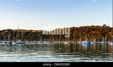 Abendliche Atmosphäre in der Bucht der Hafenstadt Dartmouth, Blick auf die zahlreichen Segelboote vor Anker Stockfoto