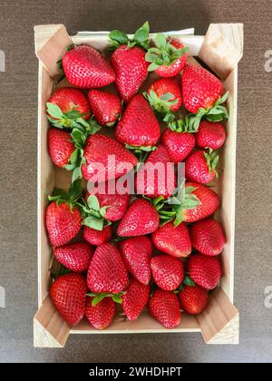 Ganze frische, reife rote Erdbeeren in einer Schachtel Stockfoto