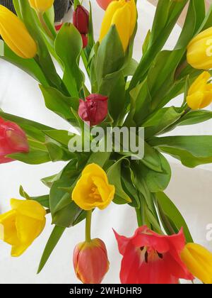 Ein bunter Blumenstrauß aus roten, rosa, gelben und lila Tulpen in einer Vase zu Beginn des Frühlings Stockfoto