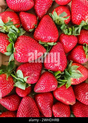 Nahaufnahme von roten Erdbeeren Stockfoto