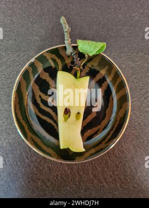 Ein bis in den Kern und den Stiel geschnittener Apfel liegt stilvoll auf einem Teller Stockfoto