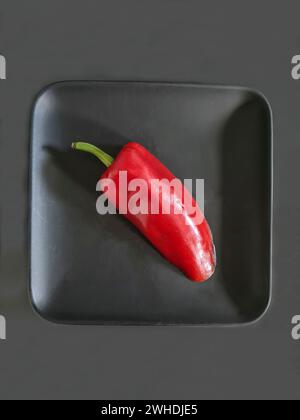 Eine rote Paprika mit grünem Stiel liegt auf einer schwarzen Platte Stockfoto