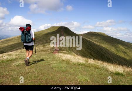 Asiatische Indianerin wandert allein in den walisischen Hügeln in Richtung Pen Y Fan, Brecon Beacons, Wales, Großbritannien Stockfoto