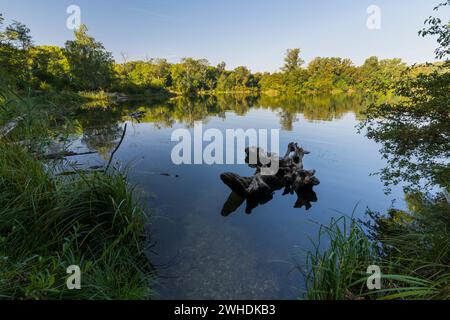 Dechantlacke, Lobau, 22. Bezirk Donaustadt, Wien, Österreich Stockfoto