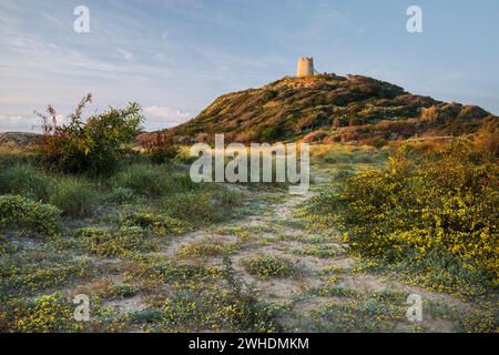 Torre di Chia, Spiaggia di Su Portu, Sardinien, Italien Stockfoto