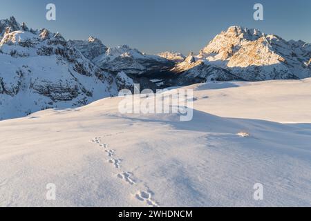 Cadini di Misurina und Monte Cristallo, Veneto, Italien Stockfoto