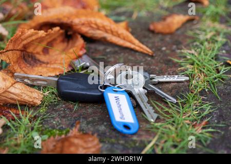 Verlorene Schlüssel mit Autoschlüsseln am Straßenrand, blauer Schlüsselring mit Schriftzug ëapartmentë, Herbstlaub, symbolisches Bild, verlorene Schlüssel, Stockfoto