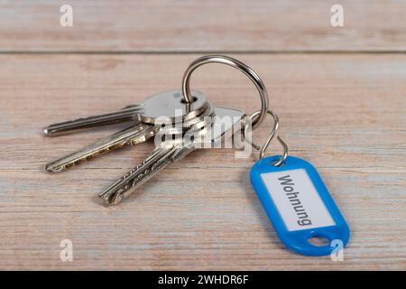 Schlüsselanhänger mit blauem Schlüsselring, beschriftet ëApartmentë, gebohrter Schlüssel, hölzerner Hintergrund, Stockfoto