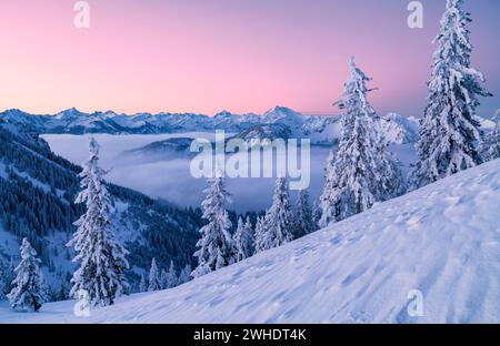 Sonnenaufgang in einer schneebedeckten Berglandschaft am Breitenberg bei Pfronten. Blick auf die Tannheimer Berge, die Allgäuer Alpen, Bayern, Deutschland, Tirol, Österreich, Europa Stockfoto