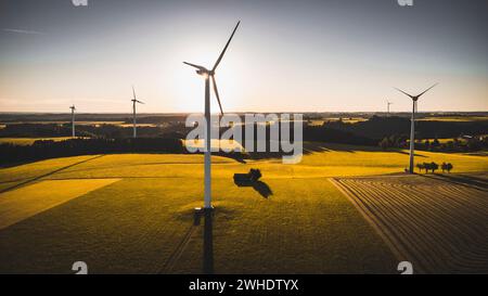 Allgäuer Landschaft bei Sonnenaufgang mit Windrädern auf Wiesen. Drohnenaufnahme. Stockfoto