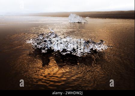 Ein Stück Gletschereis am schwarzen Sandstrand, Diamond Beach, Jokulsarlon Gletscherlagune, Island Stockfoto