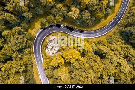 Luftaufnahme einer kurvenreichen Passstraße im Naturpark Altmühltal in Oberbayern. Die Straße schlängelt sich malerisch durch einen sommerlich gemischten Laubwald an einem Felsvorsprung vorbei. Ein weißes Auto fährt um die Kurve. Stockfoto