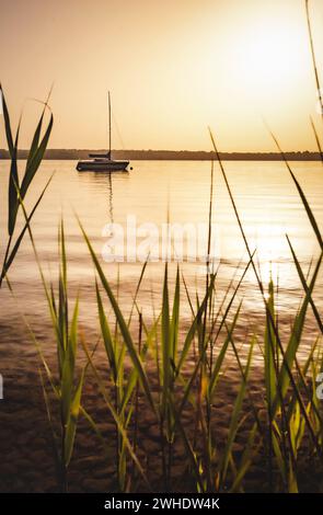 Goldene gelbe, warme, ruhige Abendatmosphäre am Ostufer des Ammersees in Bayern an einem milden Sommerabend mit Blick durch das Schilf auf den ruhigen See und ein darauf schwimmendes Segelschiff Stockfoto