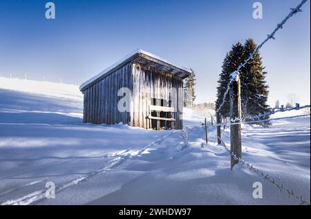 Scheune auf einer verschneiten Winterweide mit Stacheldrahtzaun in Marktoberdorf, Ostallgäu, Allgäu, Schwaben, Bayern, Süddeutschland, Deutschland Stockfoto