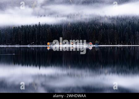 Eibsee mit Blick auf das Südufer mit Bootshäusern und Nadelwald im Nebel, Wettersteingebirge, Zugspitze, Garmisch-Partenkirchen, Bayern, Deutschland Stockfoto